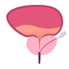 TURP