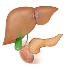 Hepatobiliary