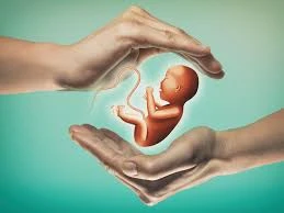Infertility Specialist