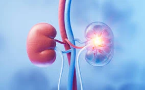 Kidney Specialist