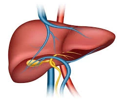 Liver Specialist