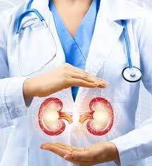 Nephrologist