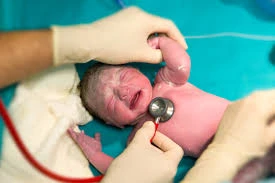 Neonatologist