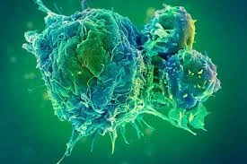 Oncologist